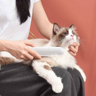Xiaomi CARNO RJ821 Pet Sterilization Care Comb